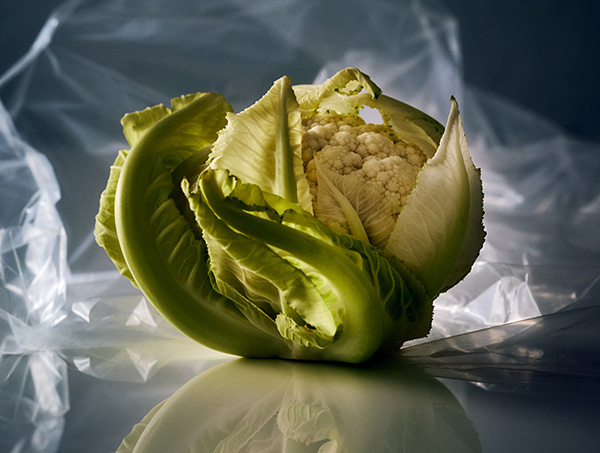 Commissions - Produce