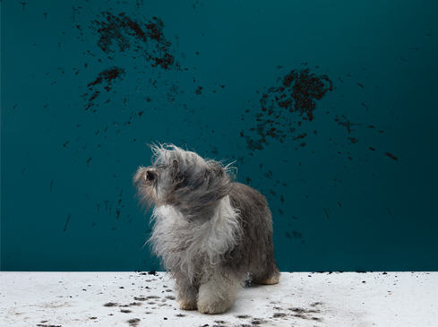 Wash and Wear photographed by Romello Pereira for Dulux