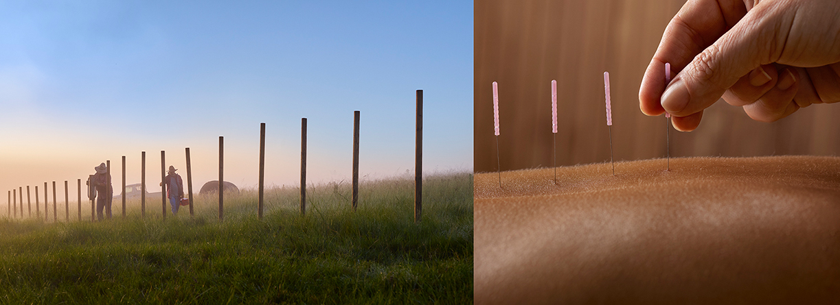 nab commercial photography by Chris Budgeon