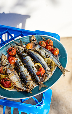 OPA! Recipes Inspired by Greek Tavernas