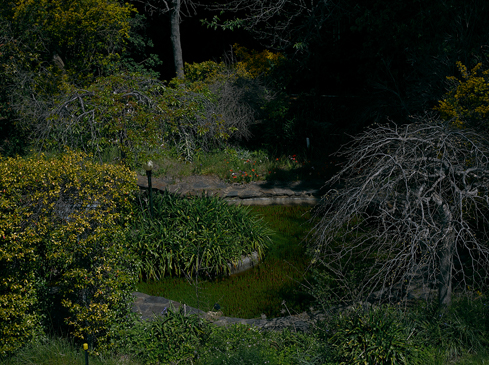 Down The Garden Path photographed by Romello Pereira