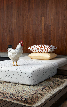 Fictional Objects photographed by Romello Pereira