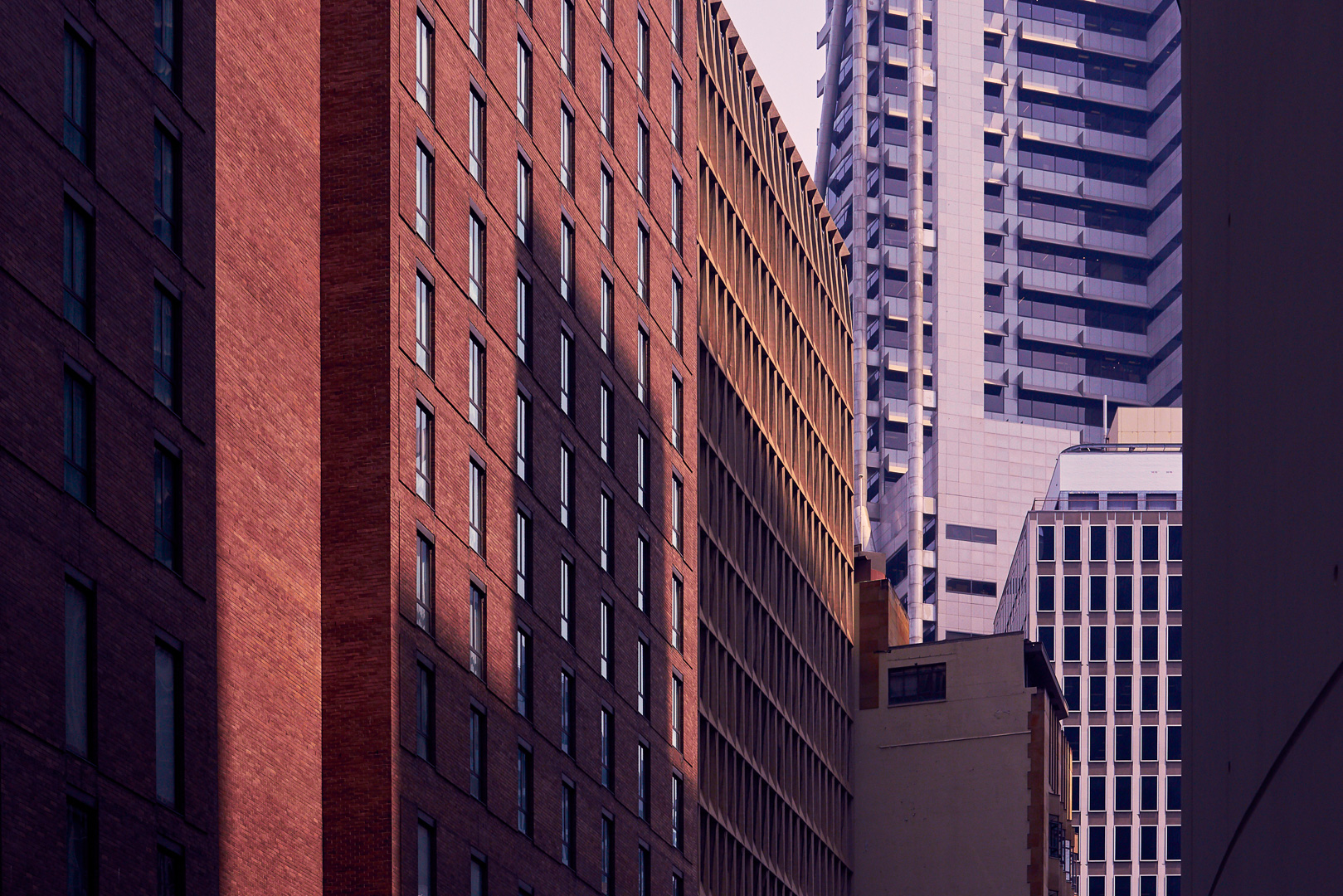 Dexus photographed by Romello Pereira