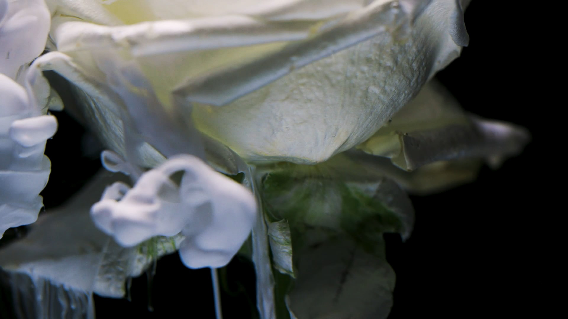 Sydney Motion Director Ted O