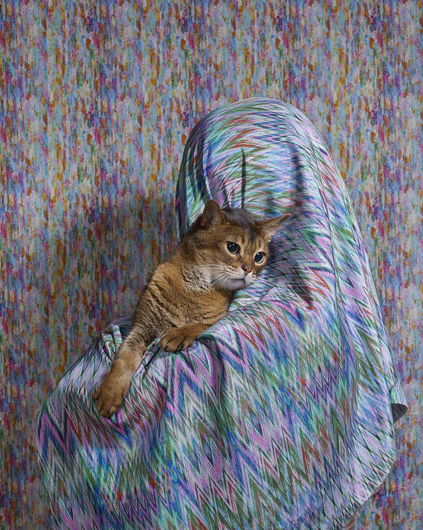 Hidden Parents by Jouk Oosterhof