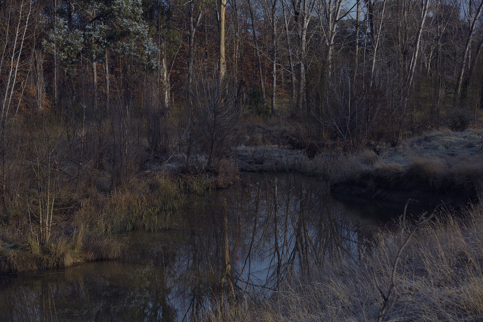 Dark Places photographed by Romello Pereira