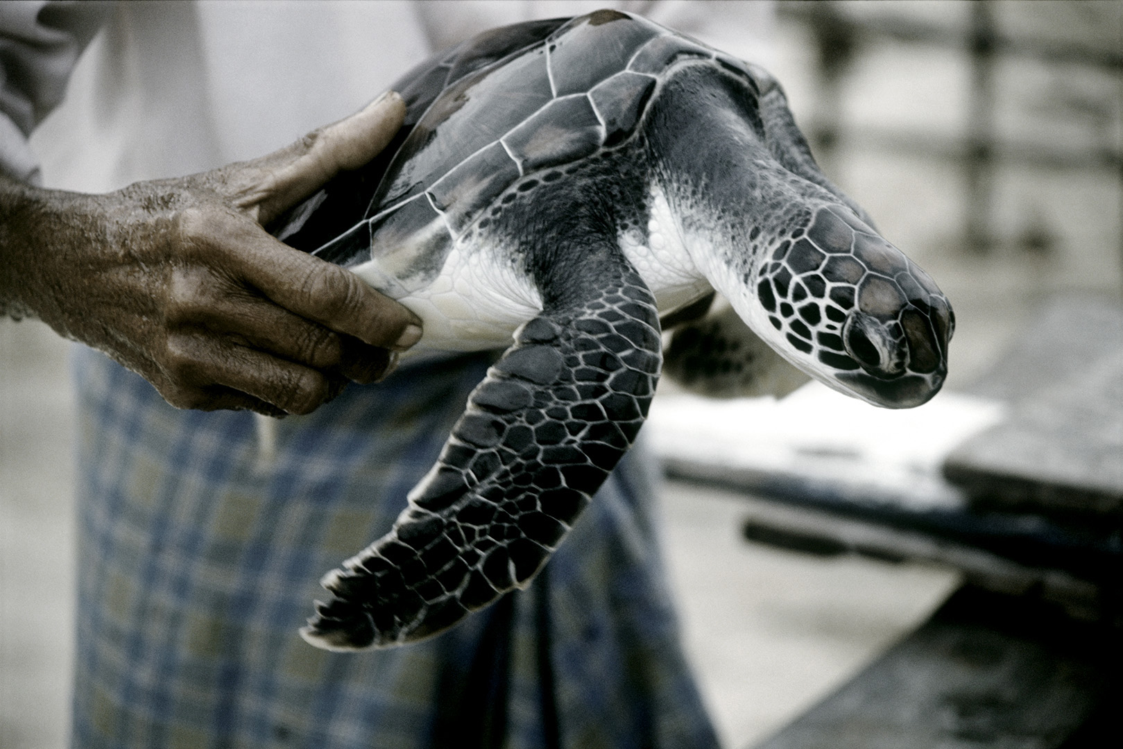 Sri Lanka photographed by Romello Pereira
