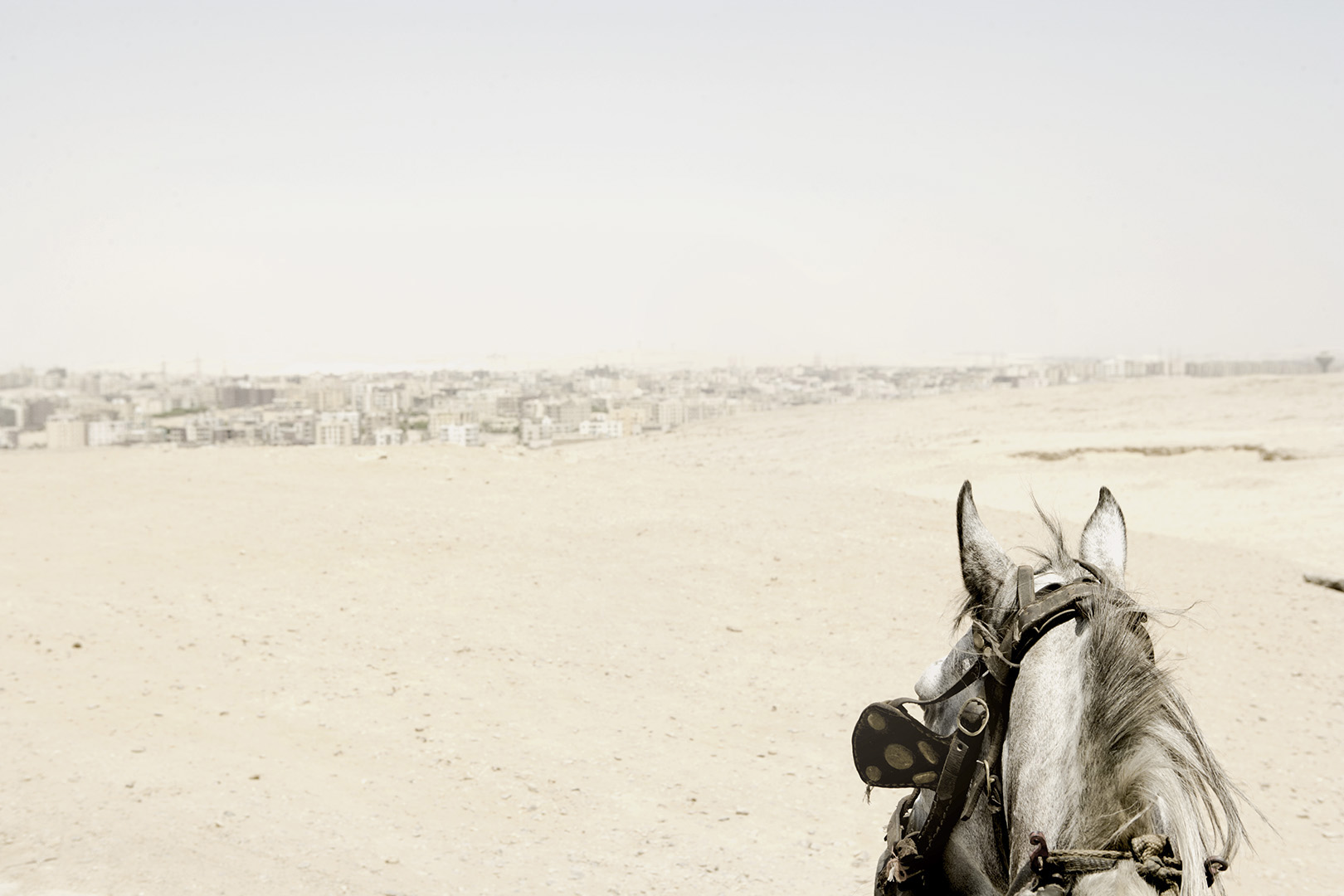 Cairo, Egypt photographed by Romello Pereira