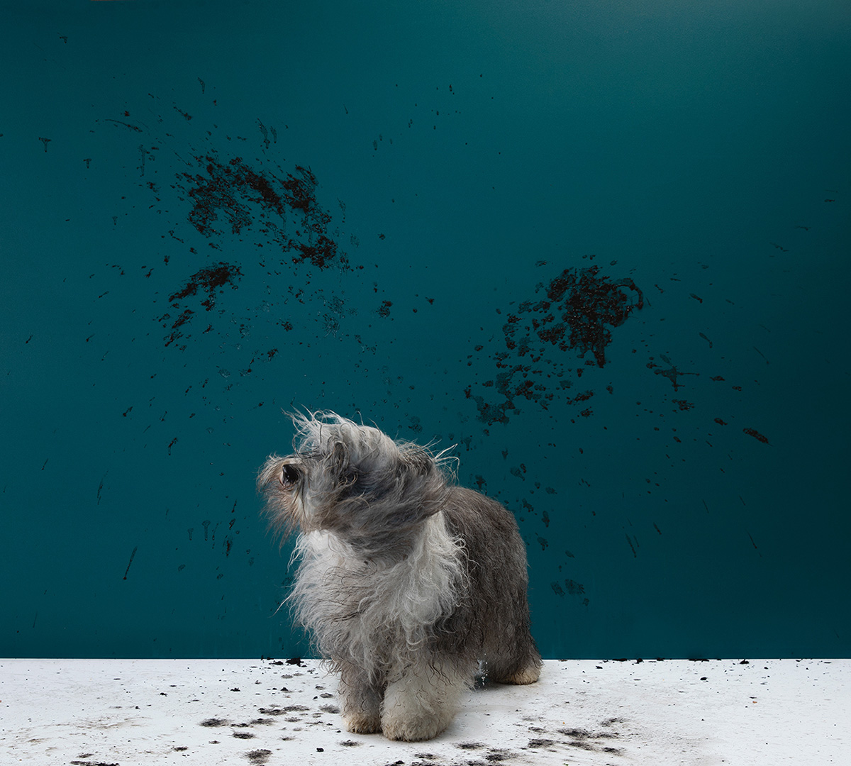 Wash and Wear photographed by Romello Pereira for Dulux